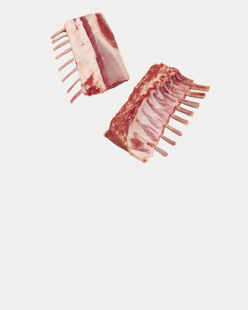 lamb