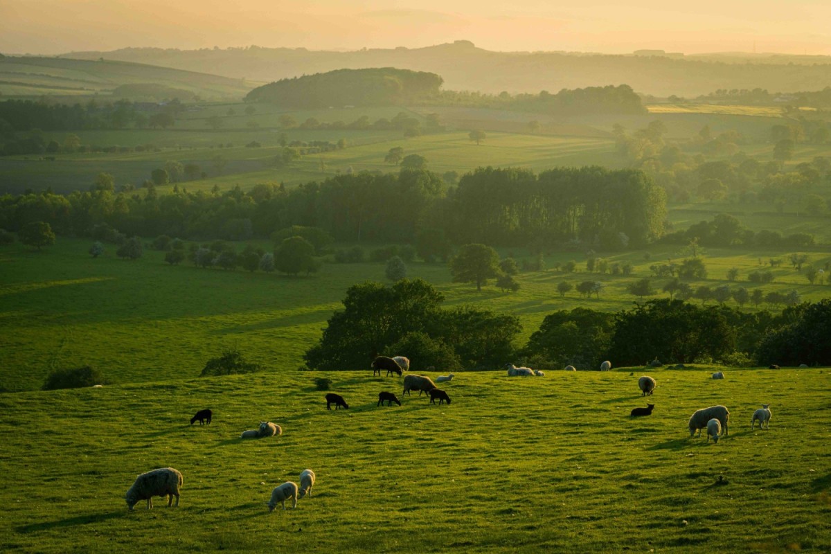 prairie